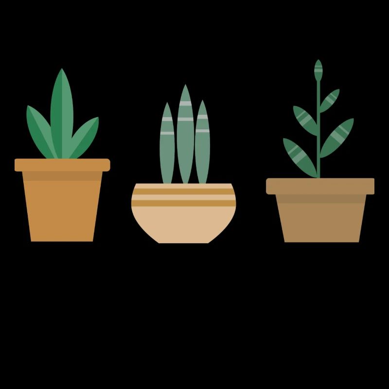 Maman Plante | Cactus et fleur