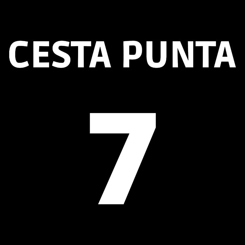CESTA PUNTA 7 - Basque Pelota Game