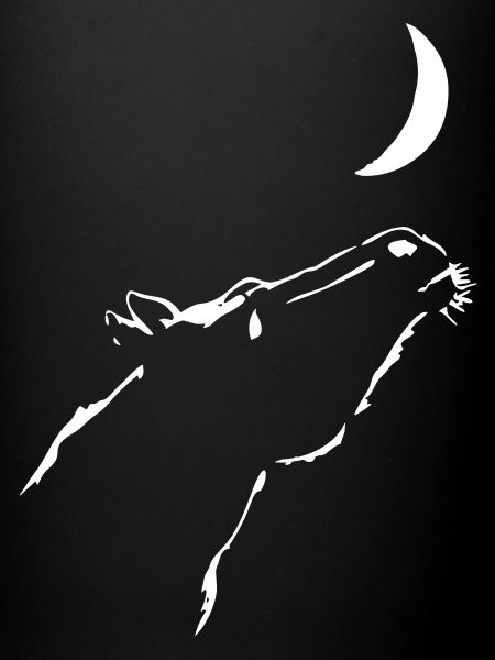 cheval de lune