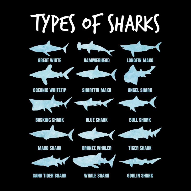 sharks