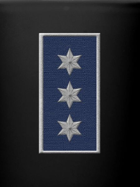 Chief inspector