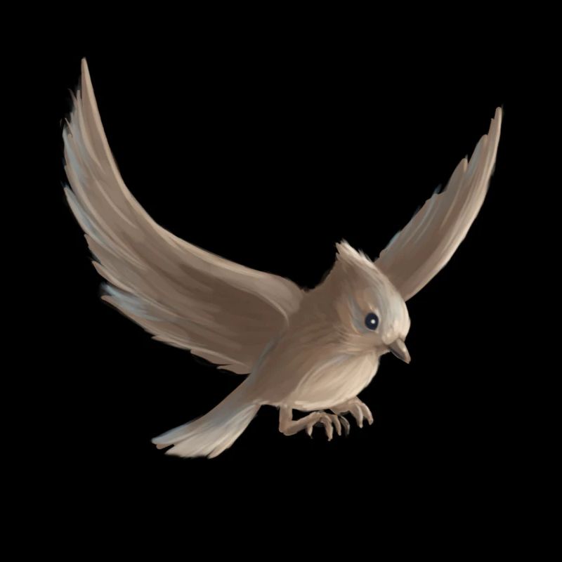 kleines vogel fliegen peniture