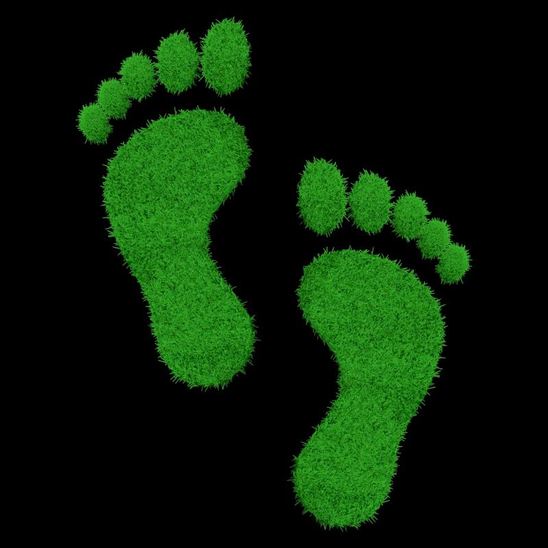 Green Footprint