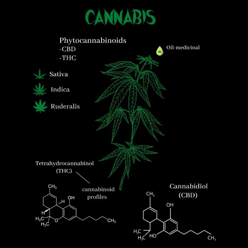 Formule chimique de cannabis
