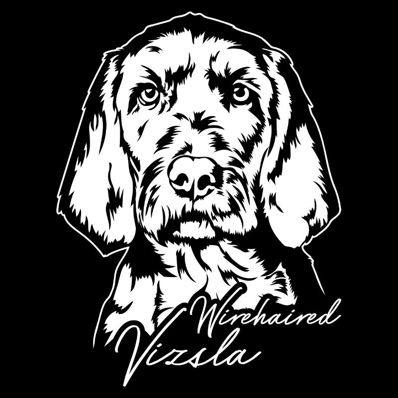 Portrait Vizsla Portrait Chien Chiens Wilsigns