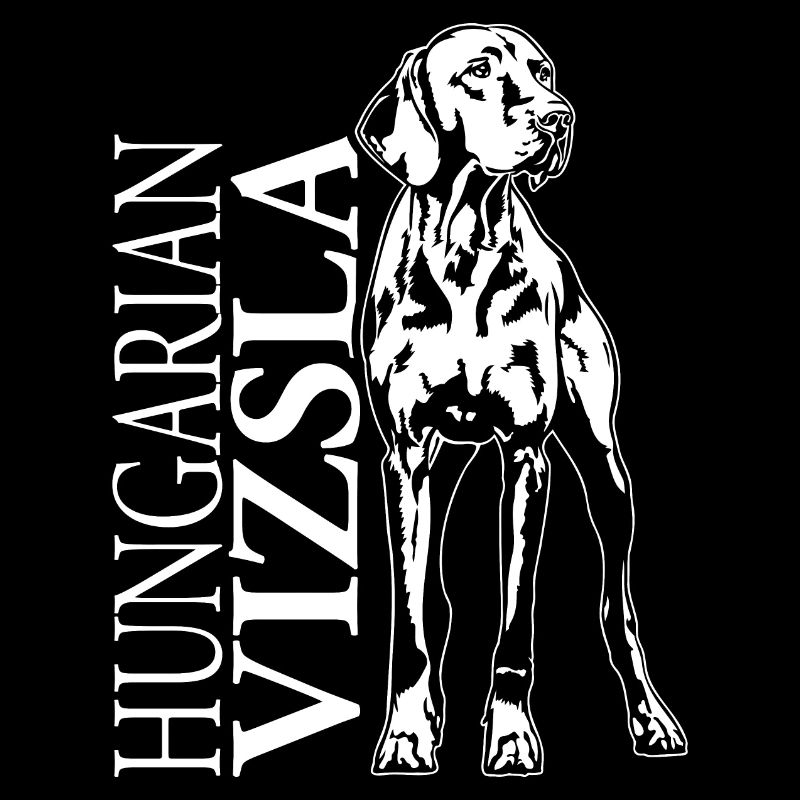 Hungarian Vizsla Portrait Hund Hunde Wilsigns