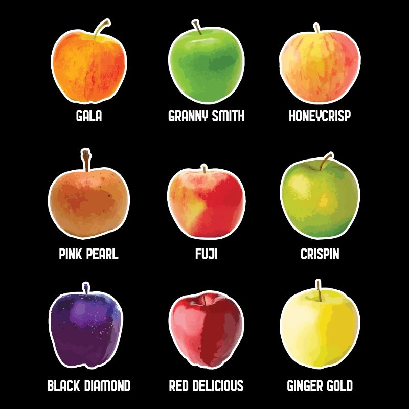 Apple Varieties Different Apples Fruit Apple