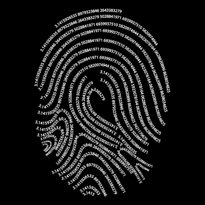 Pi Day: Mathematical Fingerprint