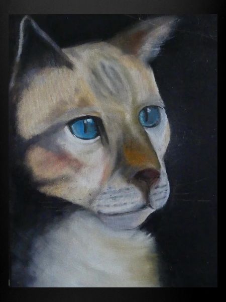 Yeux bleus