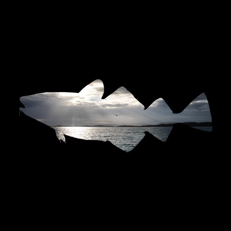Pêche à la morue en Norvège