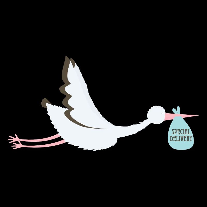 Livraison spéciale bébé cigogne