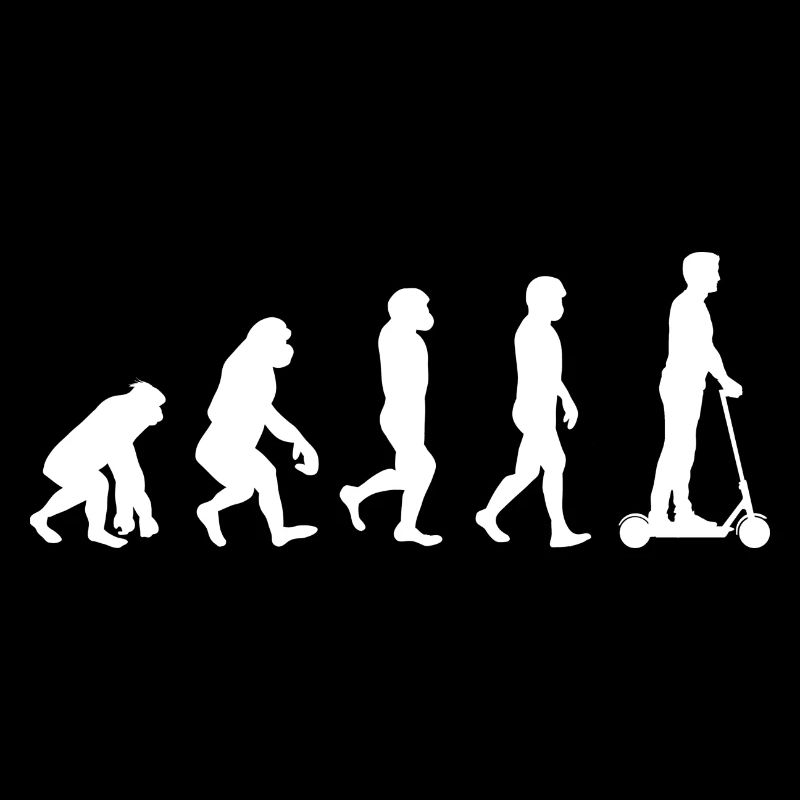 E-Scooter Evolution I E-Scooter City Scooter Scooter