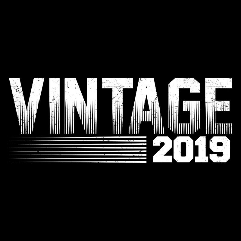 Vintage 2019 Birthday Retro 2019