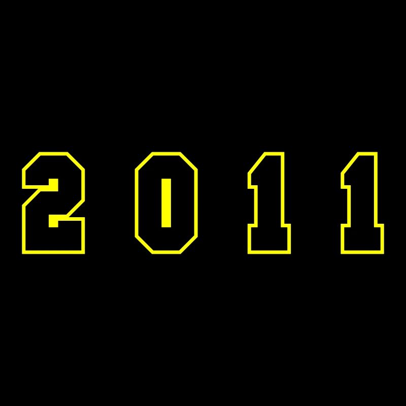 2011 Year Number
