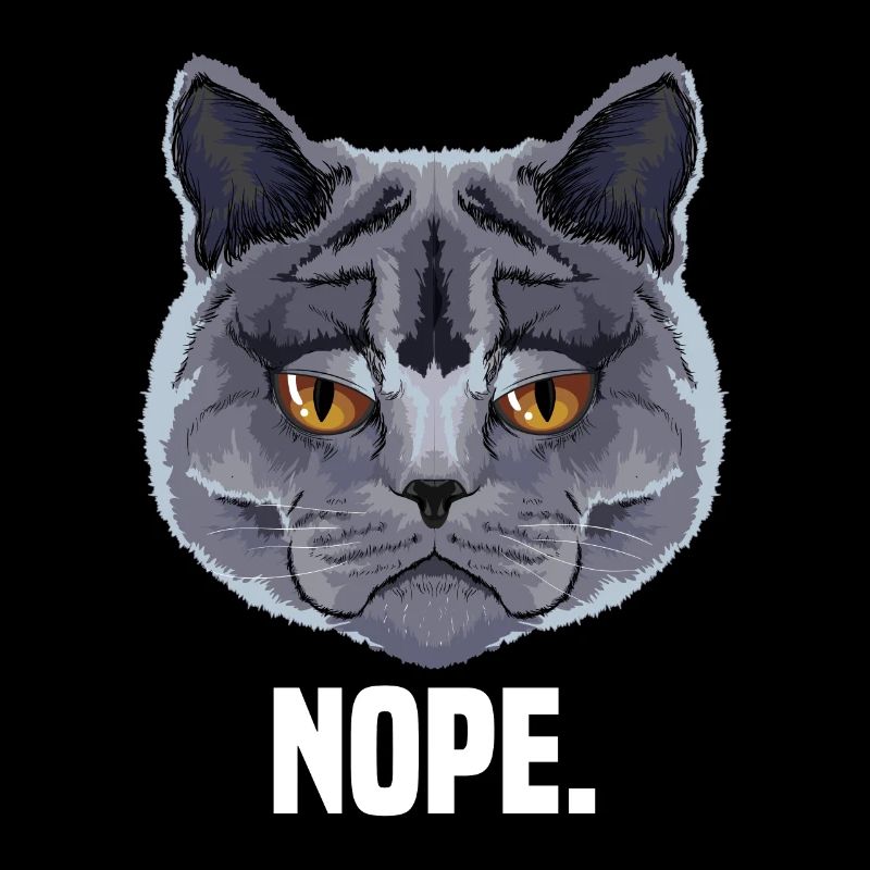 grumpy british shorthair cat cat lover