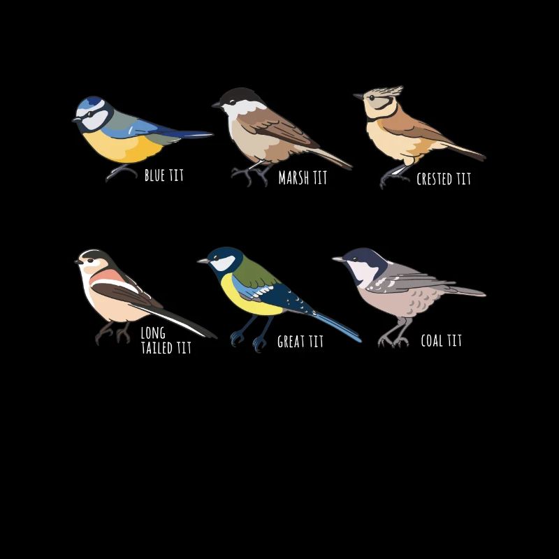 Tit Bird Collection - Cadeau d'observation des oiseaux