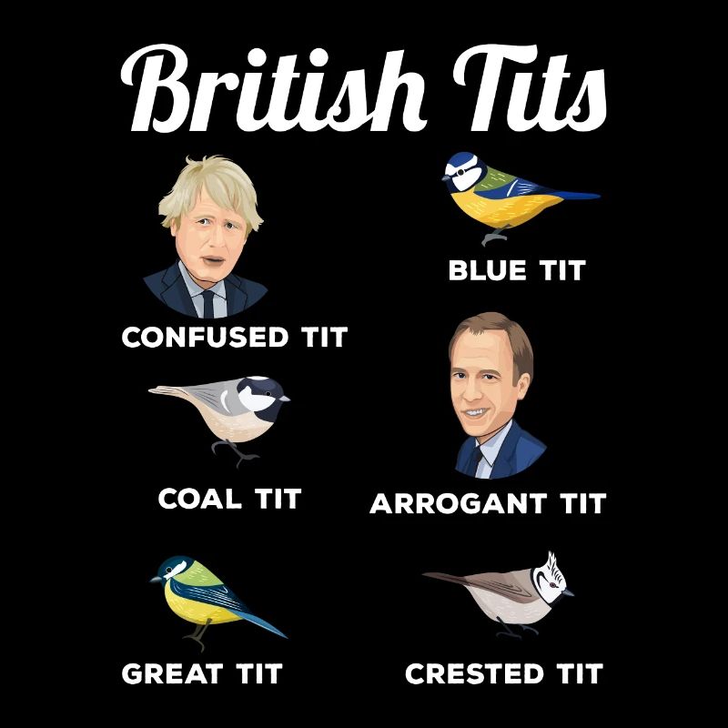 British Tits Funny Bird watching Gift