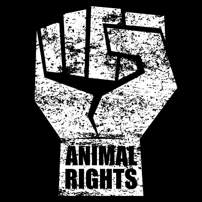 ANIMAL RIGHTS VEGAN
