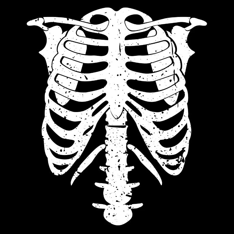 Skeleton Costume Chest Halloween