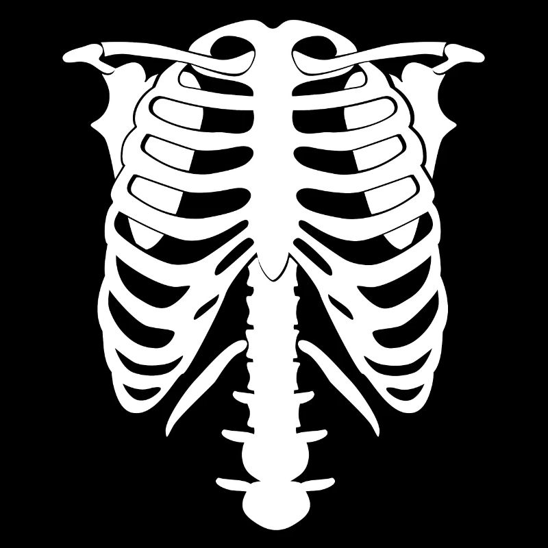 Skeleton Costume Chest Halloween
