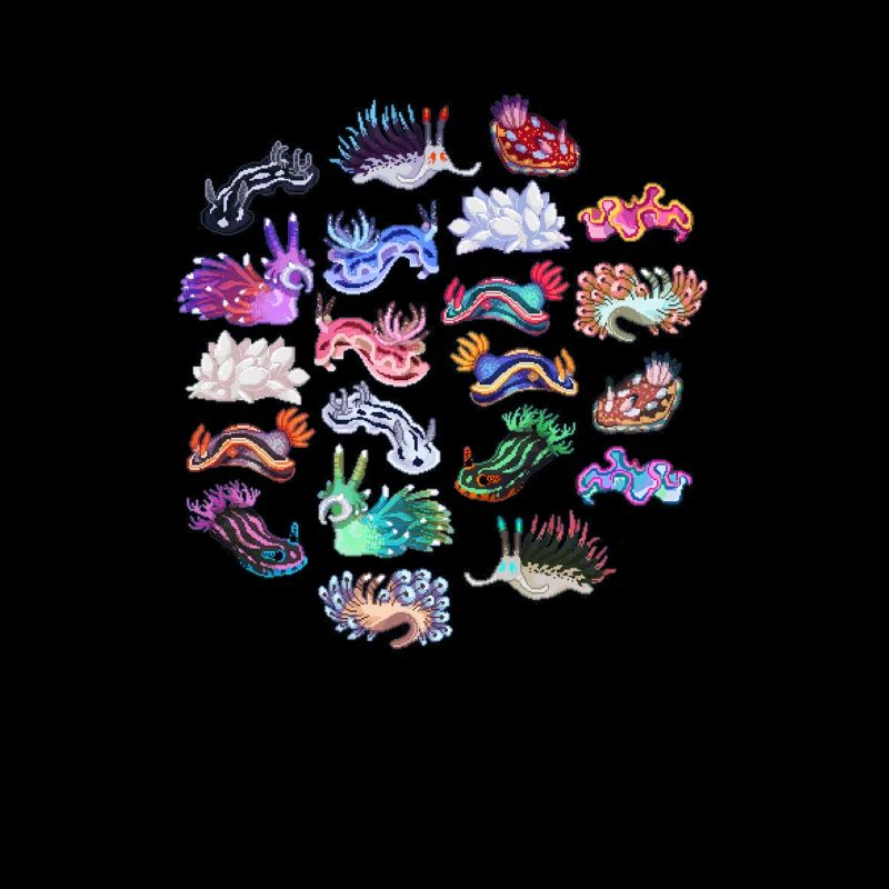 Conception de la plongée sous-marine en nudibranche