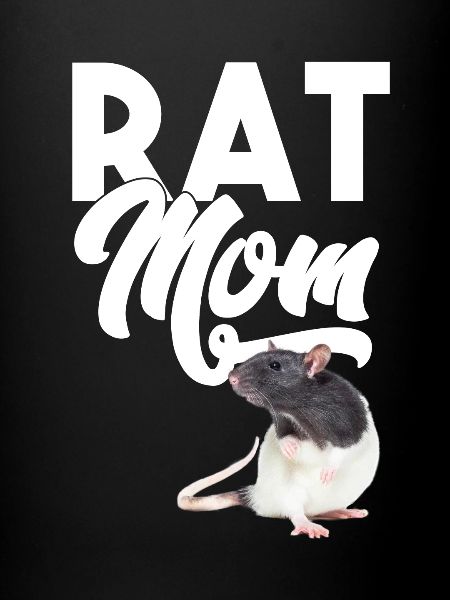 Rat - Maman Rat