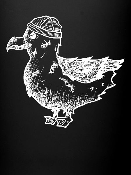 Seagull Moin