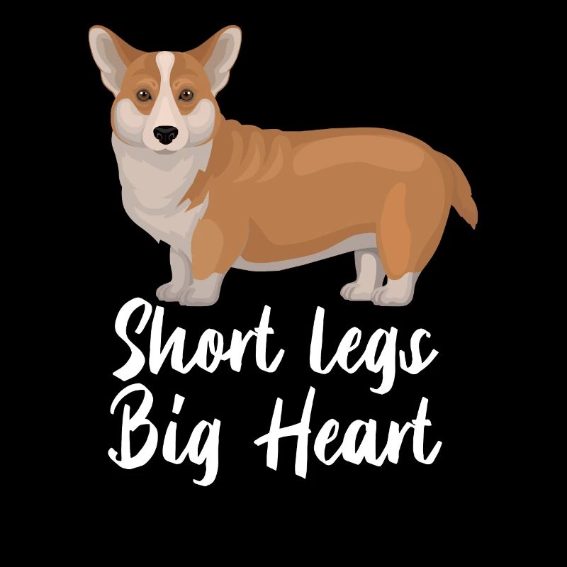 Corgi Dog Short Legs Big Heart