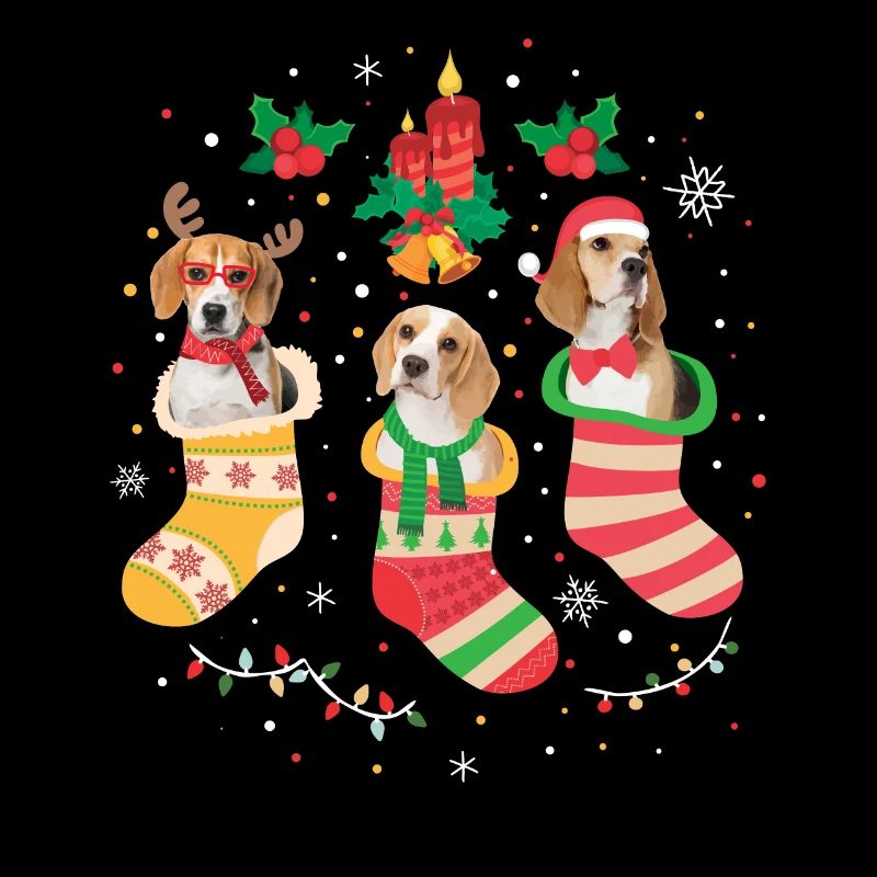 Noël Beagle