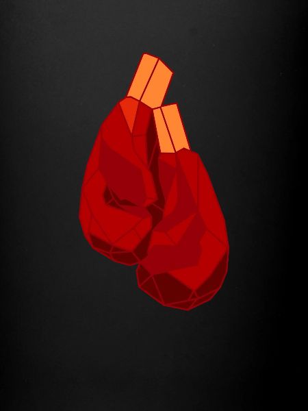 Boxe Boxer Boxer Boxer