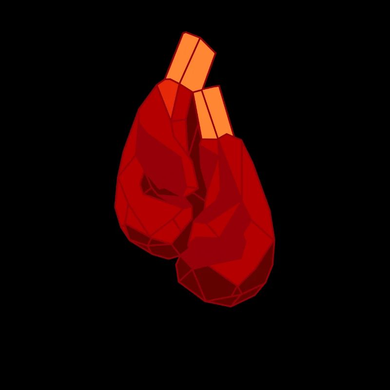 Boxen Boxkampf Boxer