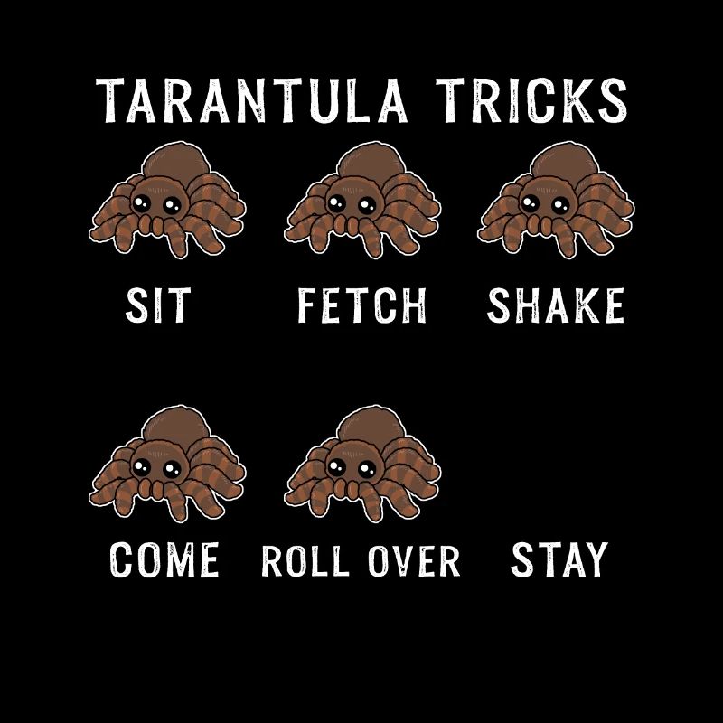 Tarantula Tricks Cadeau araignée