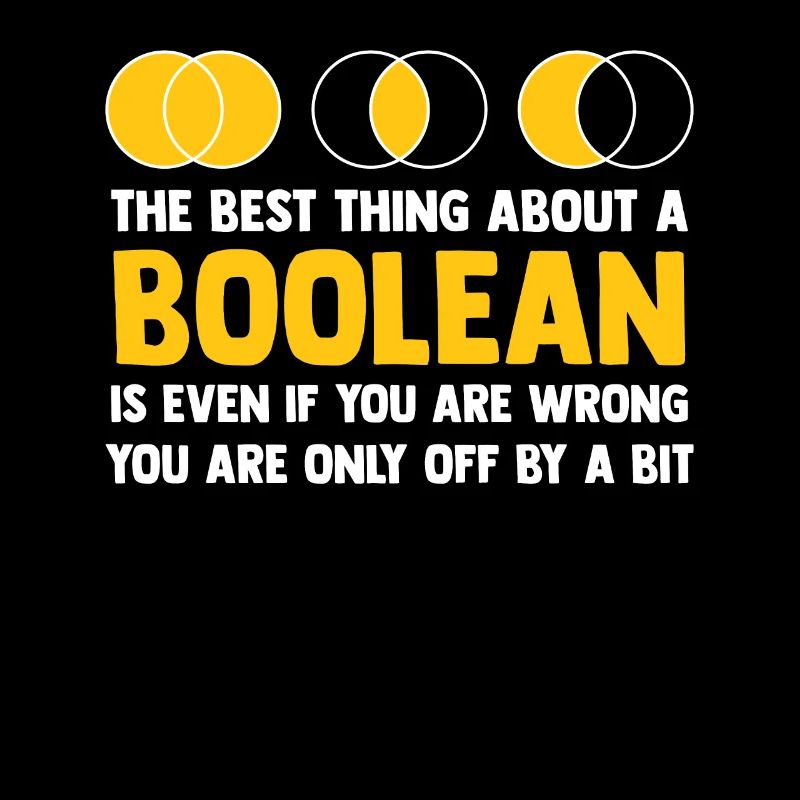 Programmer Coder Software Developer