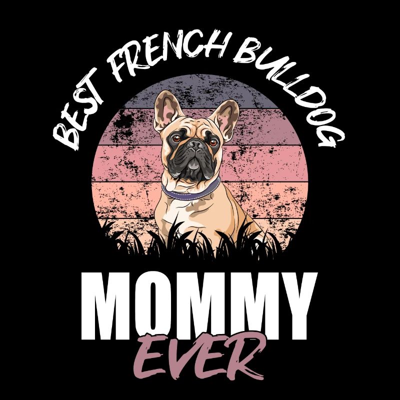 Français Bulldog