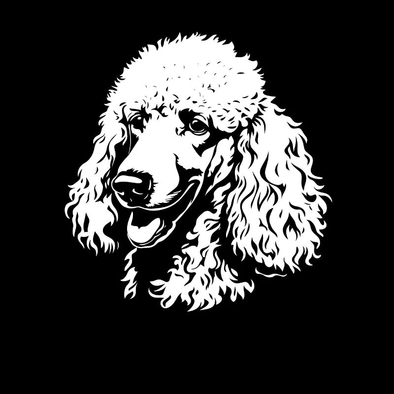 Caniche - Fan de chien