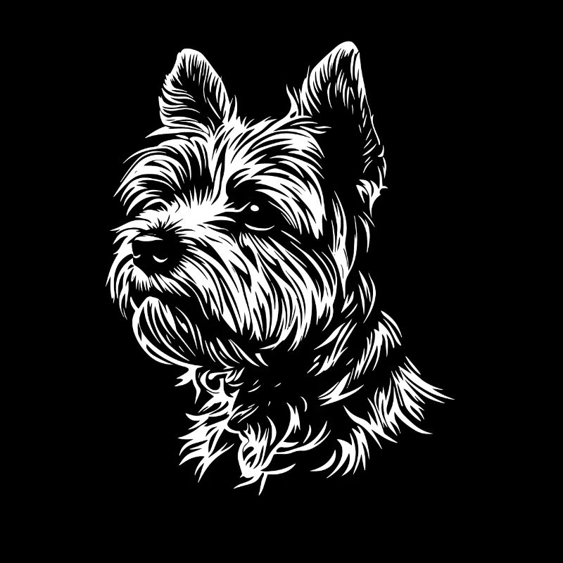 Yorkshire Terrier - Hunde Fan