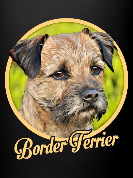 Border Terrier