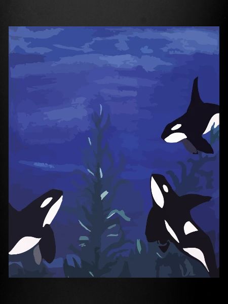 Orcas