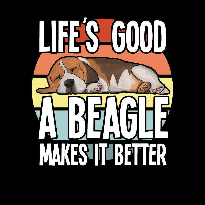 Beagle Hund lebt gut Ein Beagle macht es besser