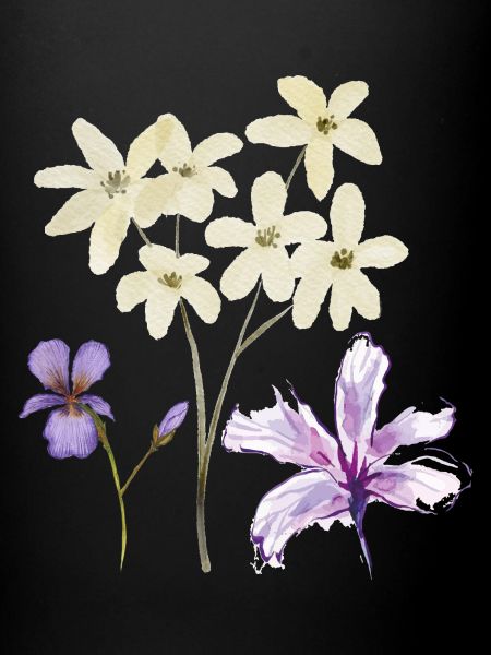 Fleurs Blumen