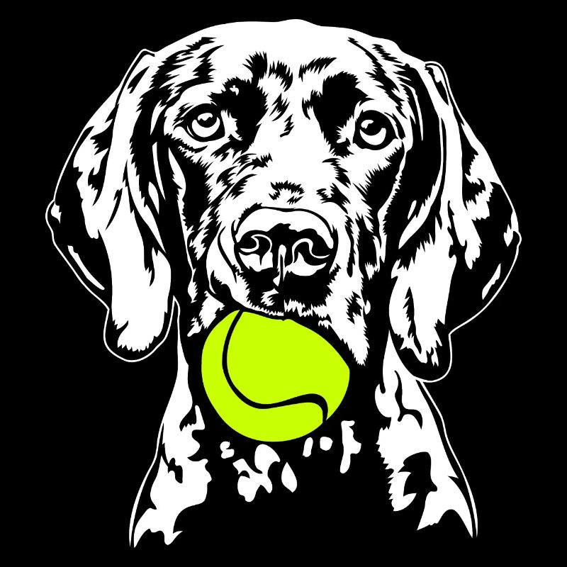 Deutsch Kurzhaar Ball Balljunkie Hunde Wilsigns