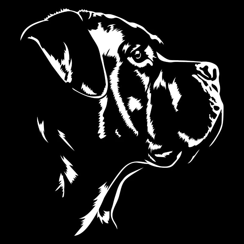 Cane Corso Chien Chiens Wilsigns