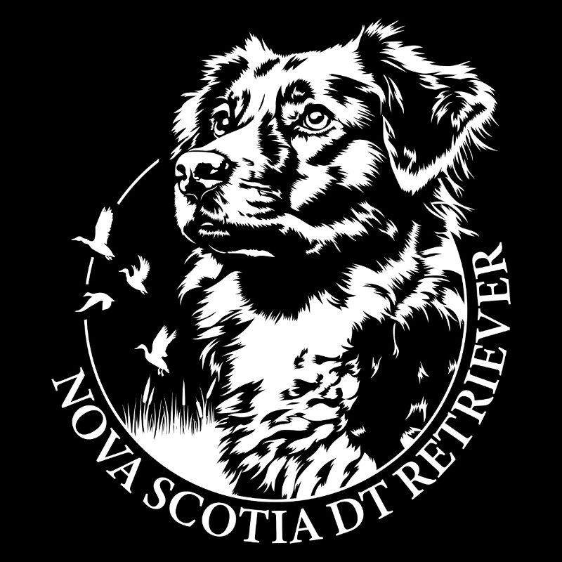 Nova Scotia Duck Tolling Retriever Portrait Hunde