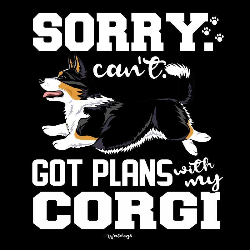 corgiplans10