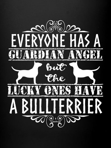 Bullterrier Angel 4