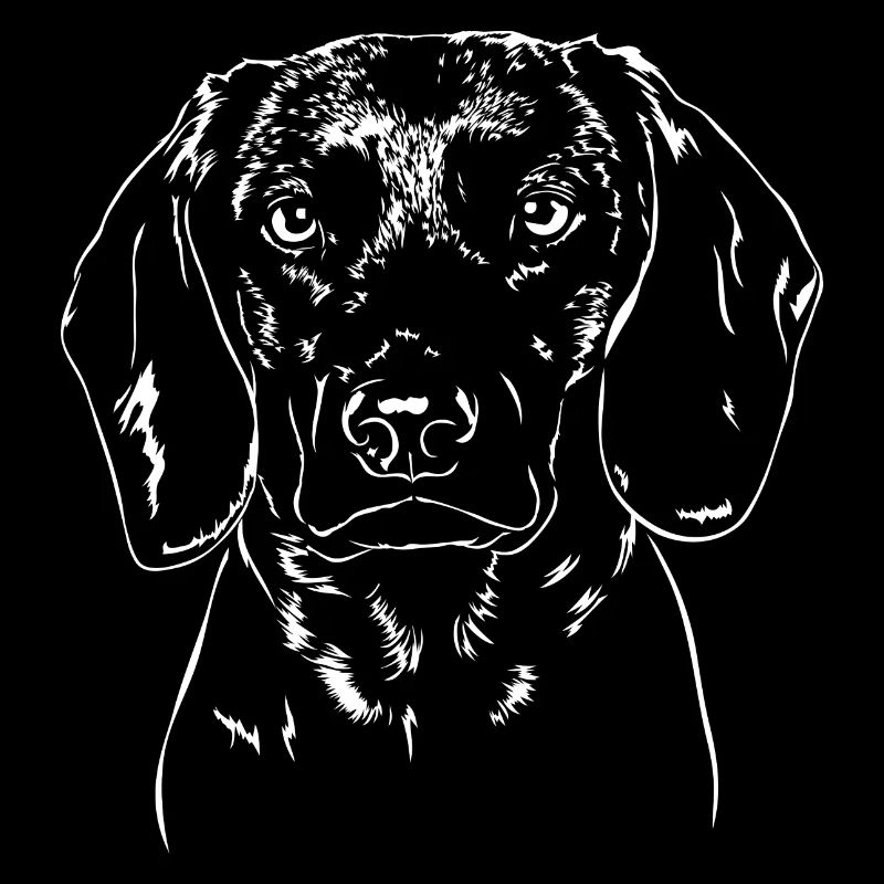 BAYERISCHER GEBIRGSSCHWEIßHUND Jagdhund Wilsigns
