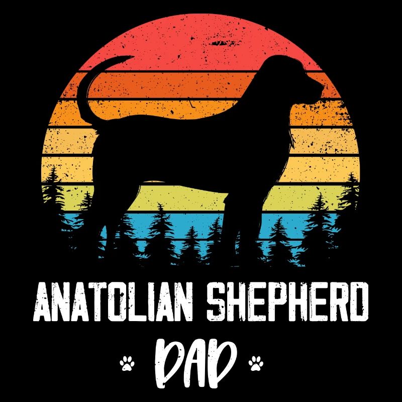 Chien de berger d’Anatolie