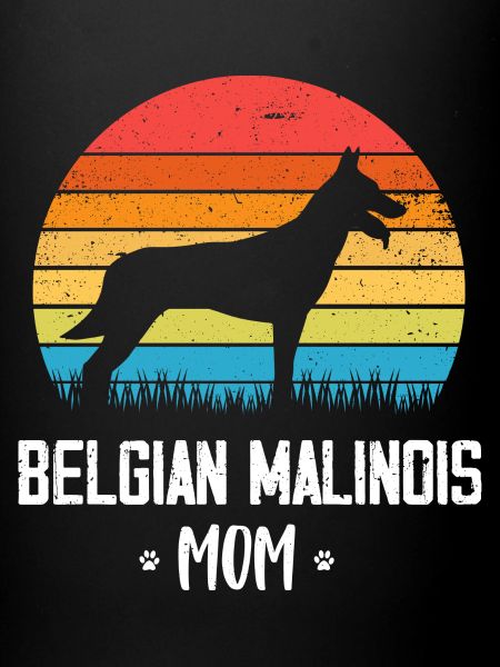 Berger belge malinois
