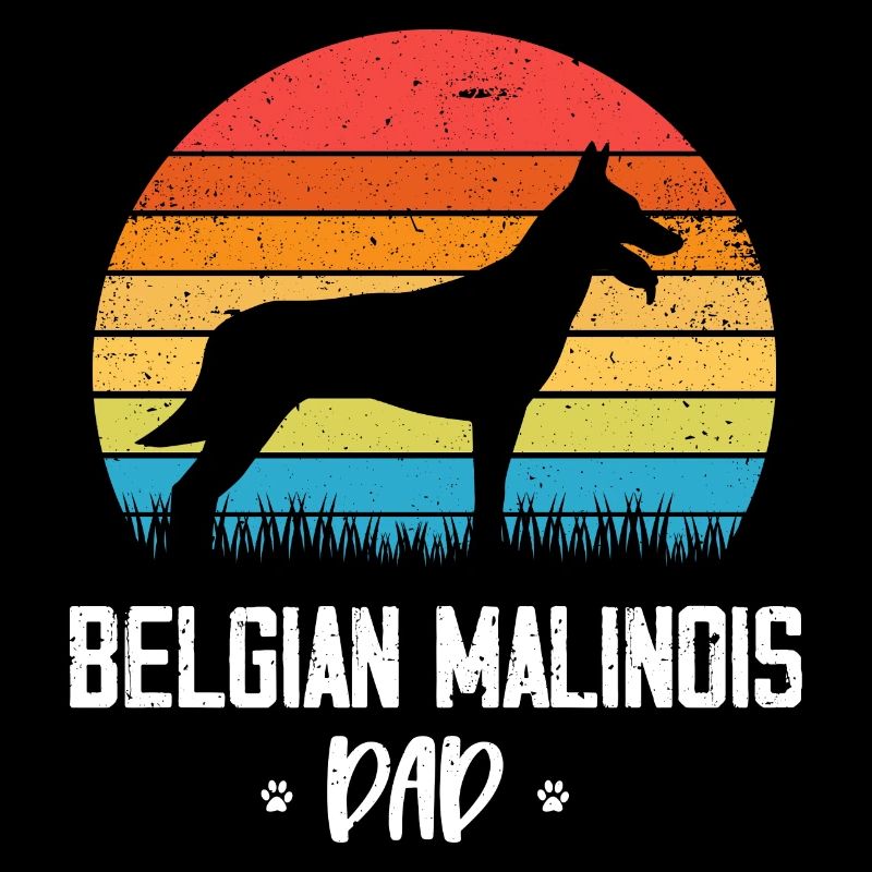Malinois Belgischer Schäferhund