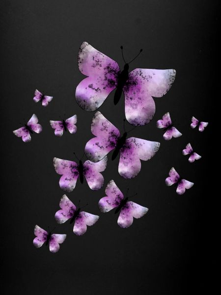 Papillons